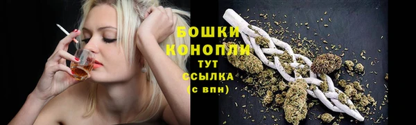 дурь Верея